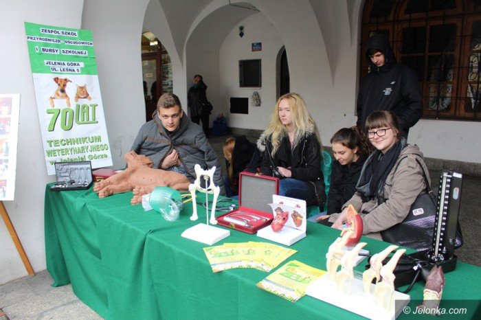 szkoy-srednie-opanoway-rynek-foto-68471