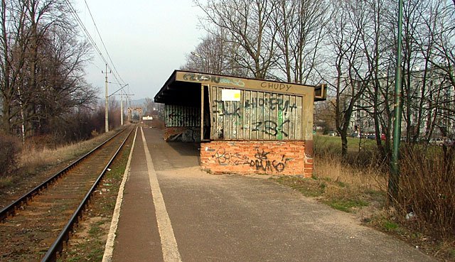 Przystanek na Orlim leży zaledwie kilkadziesiąt metrów od bloków mieszkalnych, ale trudno spotkać tam pasażera PKP.