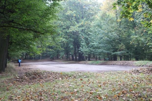 Plac gimnastyczny Endera na Wzgórzu Kościuszki w Jeleniej Górze