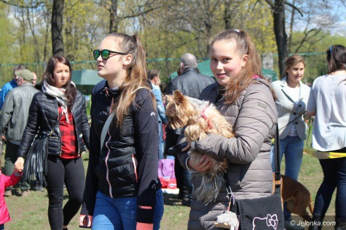 psie-pieknosci-mae-i-duze-foto-68545