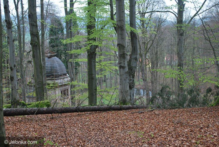 majowy-park-w-majewie-zaprasza-foto-68550