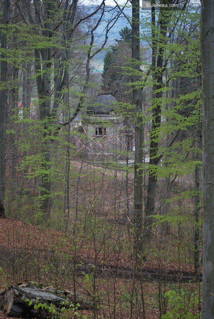majowy-park-w-majewie-zaprasza-foto-68550