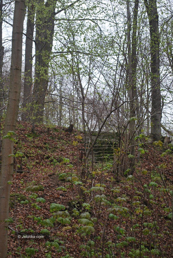 majowy-park-w-majewie-zaprasza-foto-68550