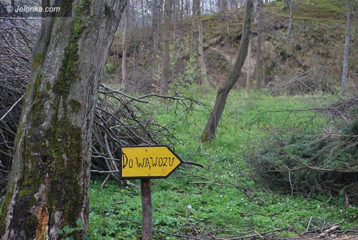 majowy-park-w-majewie-zaprasza-foto-68550