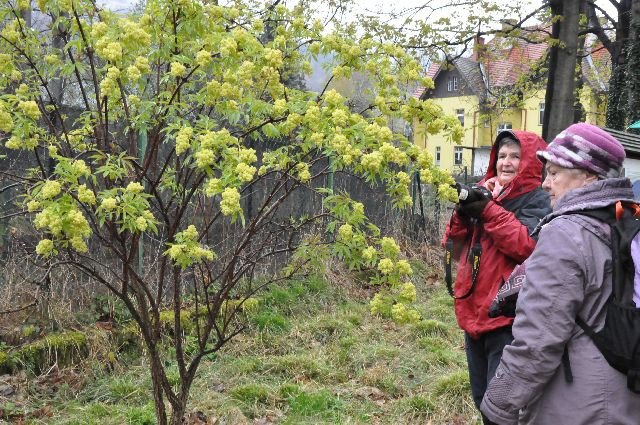 majowo-z-modymi-duchem-foto-68599