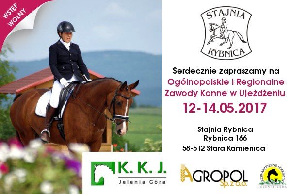 zdolni-jezdzcy-i-piekne-konie-w-rybnicy-68699