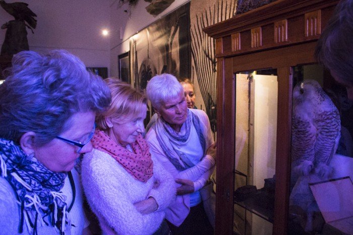 modzi-duchem-w-muzeum-przyrodniczym-foto-68739