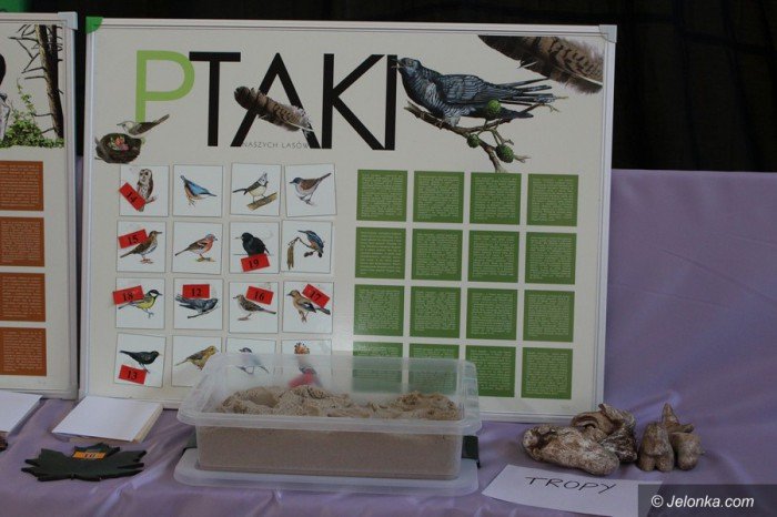omnibusiki-spotkay-sie-w-sp-8-foto-68740