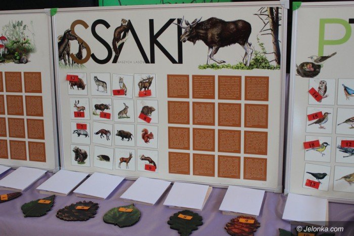 omnibusiki-spotkay-sie-w-sp-8-foto-68740