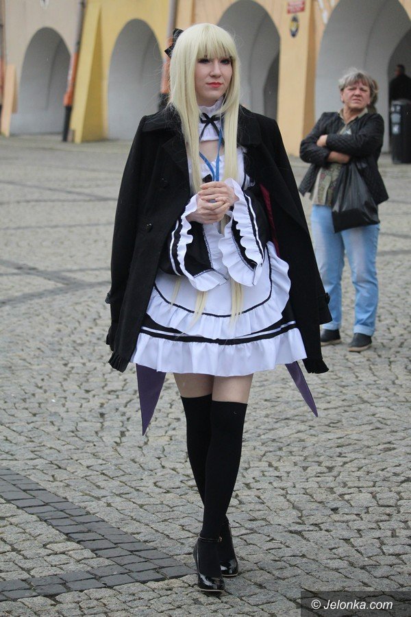 cudowni-ludzie-pomagaja-gosi-foto-68747