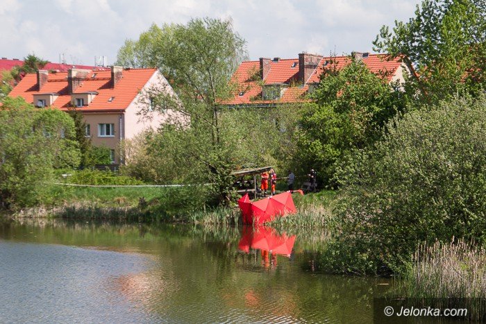 zwoki-w-stawie-przy-morcinka-aktualizacja-foto-68748
