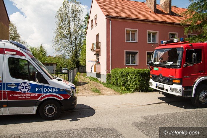 zwoki-w-stawie-przy-morcinka-aktualizacja-foto-68748