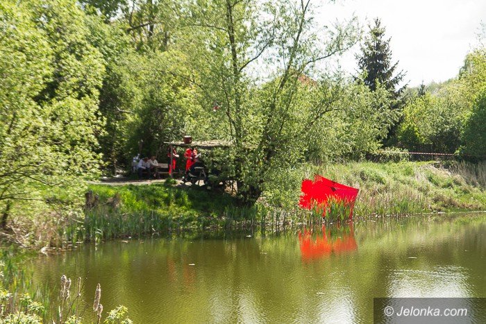 zwoki-w-stawie-przy-morcinka-aktualizacja-foto-68748