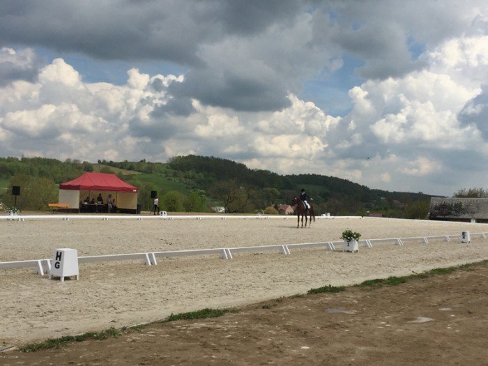 zawody-w-ujezdzaniu-koni-w-rybnicy-foto-68756