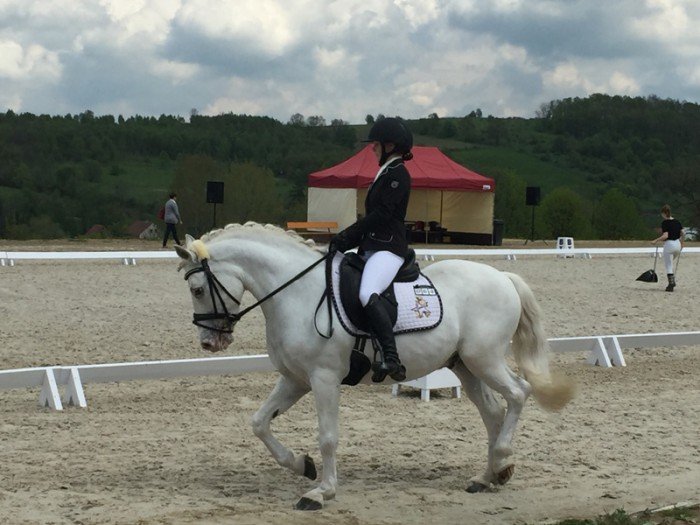 zawody-w-ujezdzaniu-koni-w-rybnicy-foto-68756