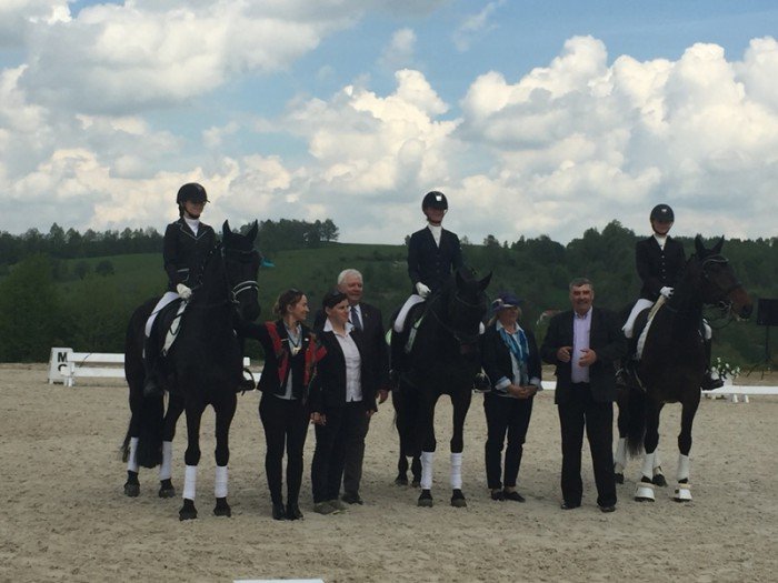 zawody-w-ujezdzaniu-koni-w-rybnicy-foto-68756
