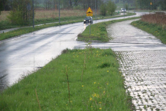 czytelnik-sadzili-drzewka-a-teraz-niszcza-foto-68806