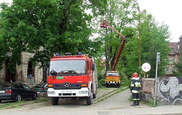 runa-konar-6881
