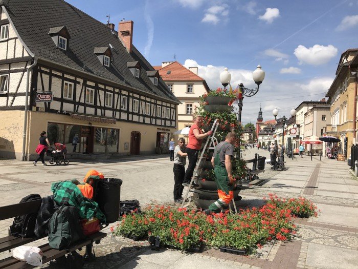 jelenia-gora-rozkwita-tysiacami-kwiatow-foto-68819