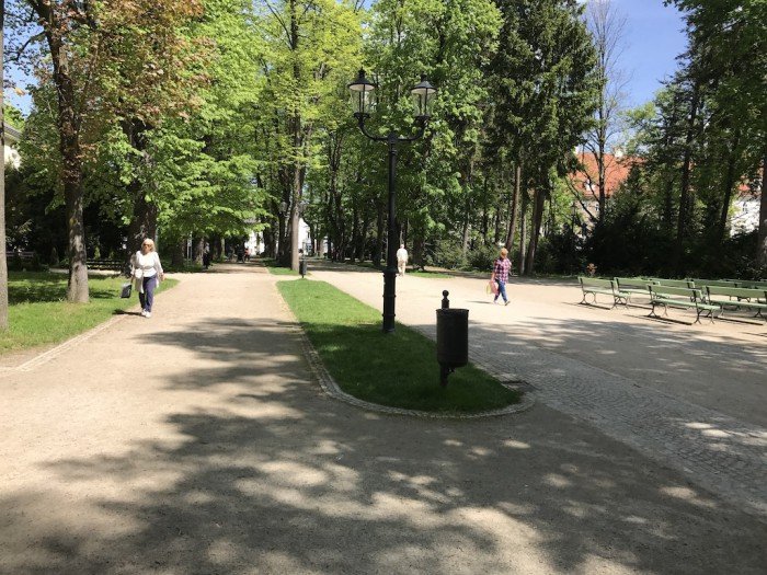 jelenia-gora-rozkwita-tysiacami-kwiatow-foto-68819