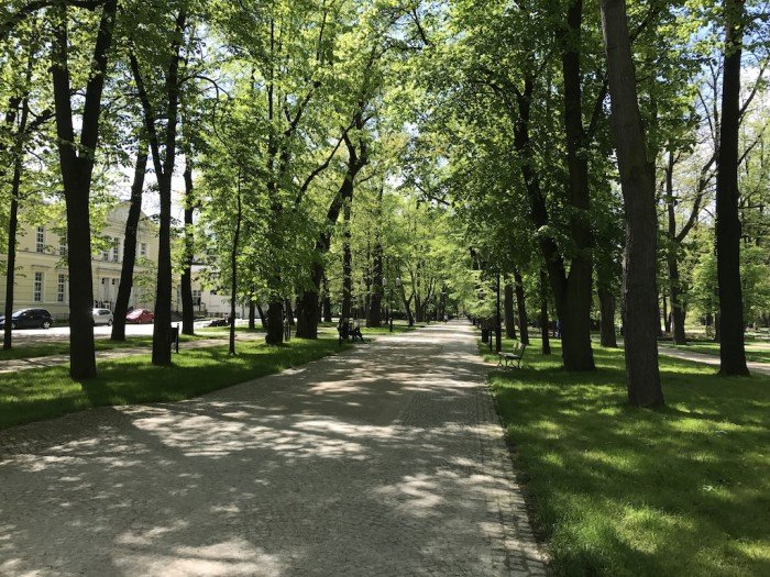 jelenia-gora-rozkwita-tysiacami-kwiatow-foto-68819