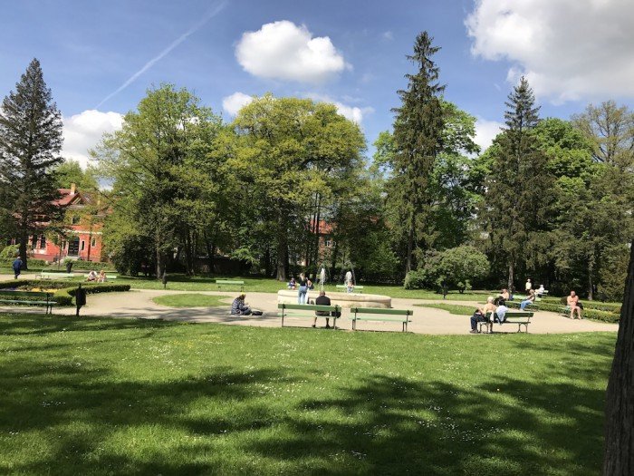 jelenia-gora-rozkwita-tysiacami-kwiatow-foto-68819
