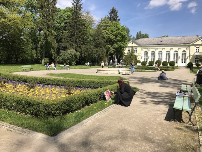 jelenia-gora-rozkwita-tysiacami-kwiatow-foto-68819