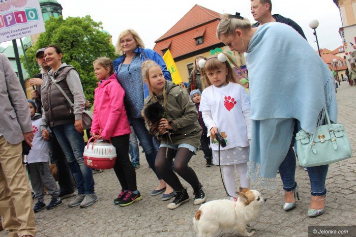 paraduja-bo-kochaja-zwierzeta-foto-68876