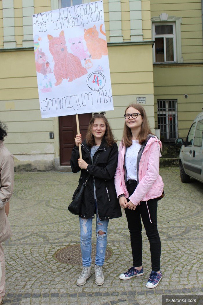 paraduja-bo-kochaja-zwierzeta-foto-68876