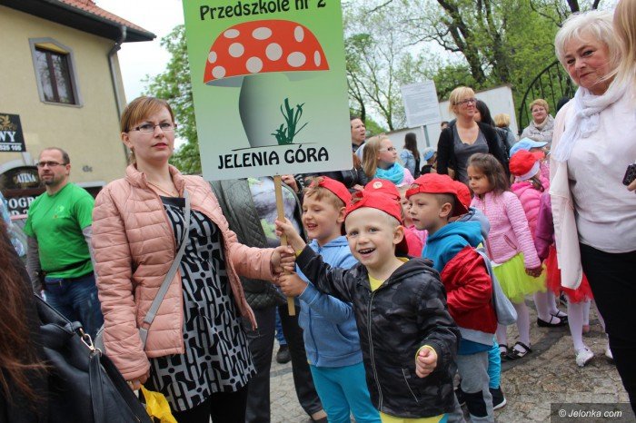 paraduja-bo-kochaja-zwierzeta-foto-68876