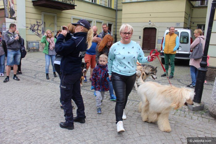 paraduja-bo-kochaja-zwierzeta-foto-68876