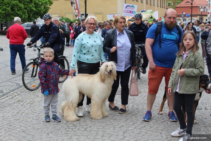 paraduja-bo-kochaja-zwierzeta-foto-68876