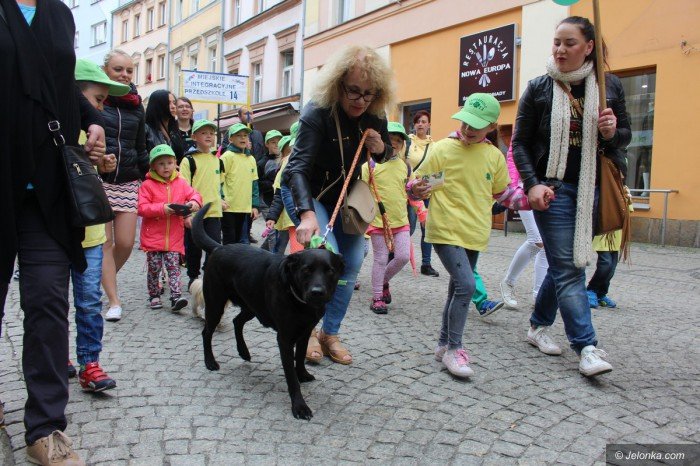 paraduja-bo-kochaja-zwierzeta-foto-68876