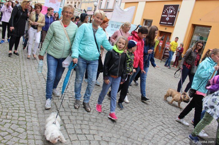 paraduja-bo-kochaja-zwierzeta-foto-68876