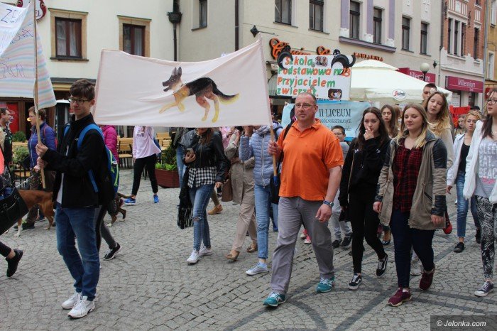 paraduja-bo-kochaja-zwierzeta-foto-68876