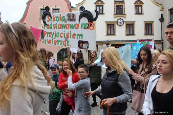 paraduja-bo-kochaja-zwierzeta-foto-68876