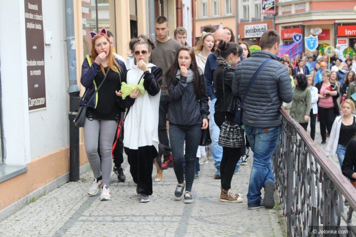 paraduja-bo-kochaja-zwierzeta-foto-68876