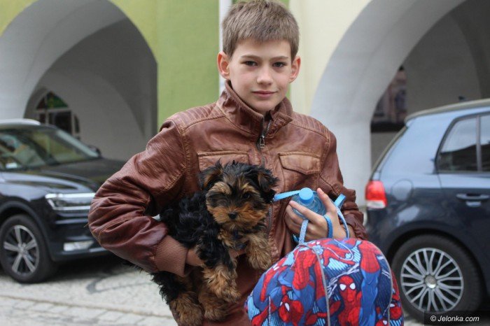 paraduja-bo-kochaja-zwierzeta-foto-68876