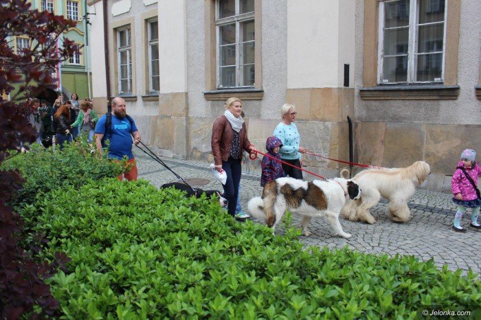 paraduja-bo-kochaja-zwierzeta-foto-68876
