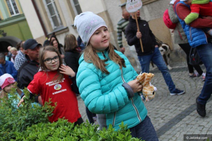 paraduja-bo-kochaja-zwierzeta-foto-68876