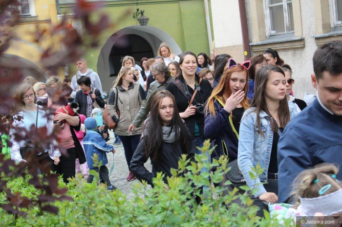 paraduja-bo-kochaja-zwierzeta-foto-68876