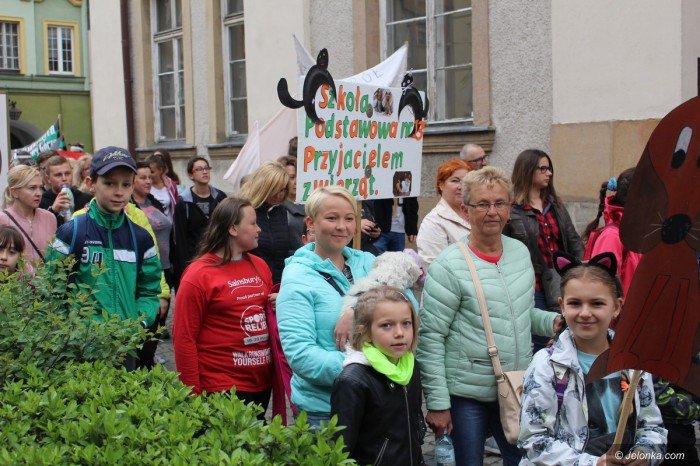 paraduja-bo-kochaja-zwierzeta-foto-68876