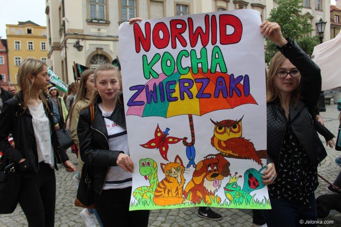 paraduja-bo-kochaja-zwierzeta-foto-68876