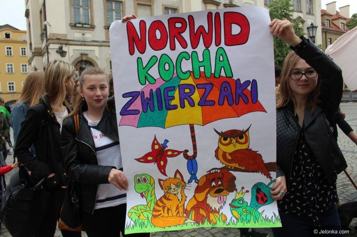 paraduja-bo-kochaja-zwierzeta-foto-68876