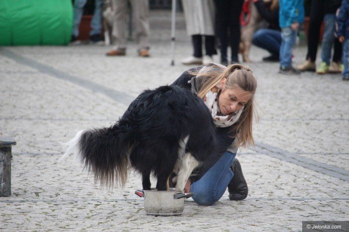 paraduja-bo-kochaja-zwierzeta-foto-68876