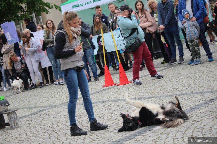 paraduja-bo-kochaja-zwierzeta-foto-68876