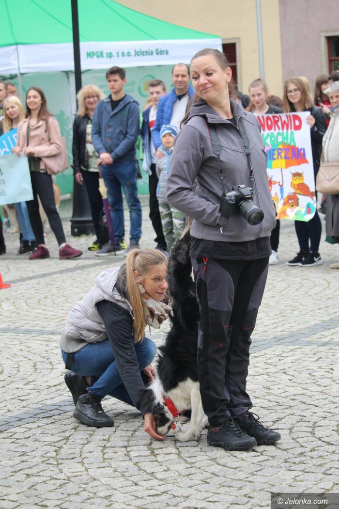 paraduja-bo-kochaja-zwierzeta-foto-68876
