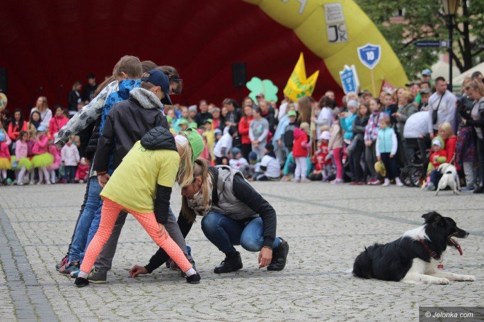paraduja-bo-kochaja-zwierzeta-foto-68876