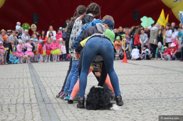 paraduja-bo-kochaja-zwierzeta-foto-68876