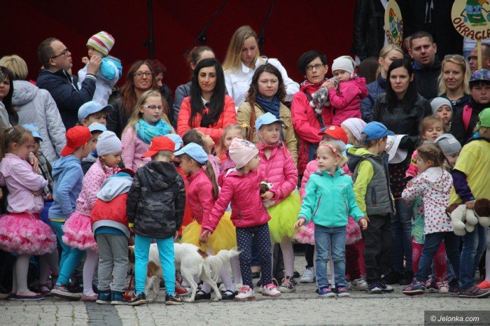 paraduja-bo-kochaja-zwierzeta-foto-68876